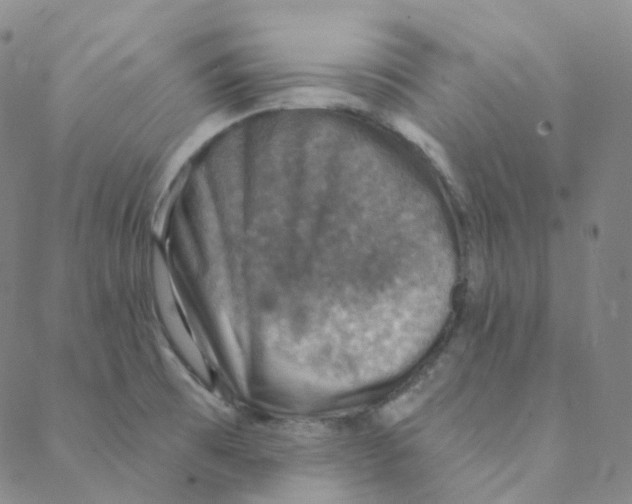 X0000088391473200706191320