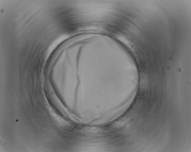 X0000088391474200706191320