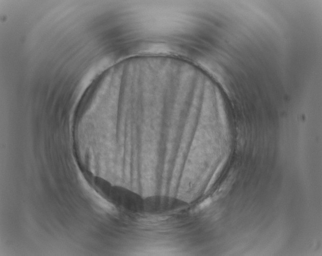 X0000088391475200706191320