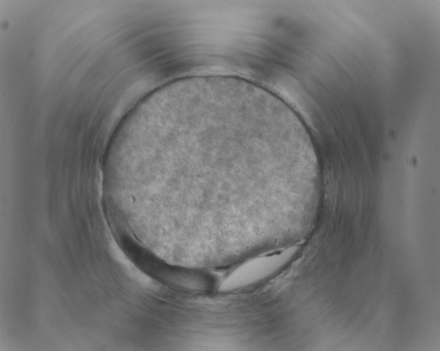 X0000088391476200706191320