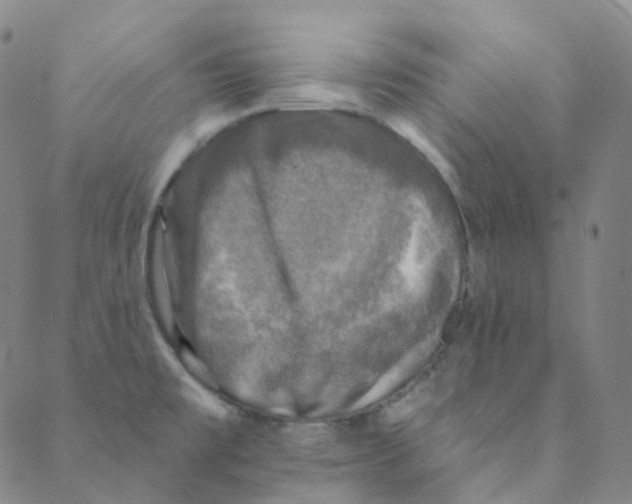 X0000088391477200706191320