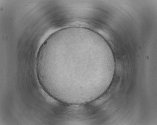 X0000088391478200706191320