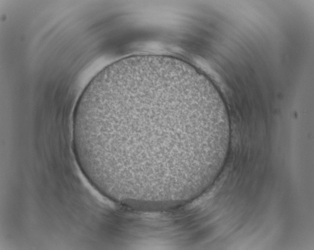 X0000088391479200706191320