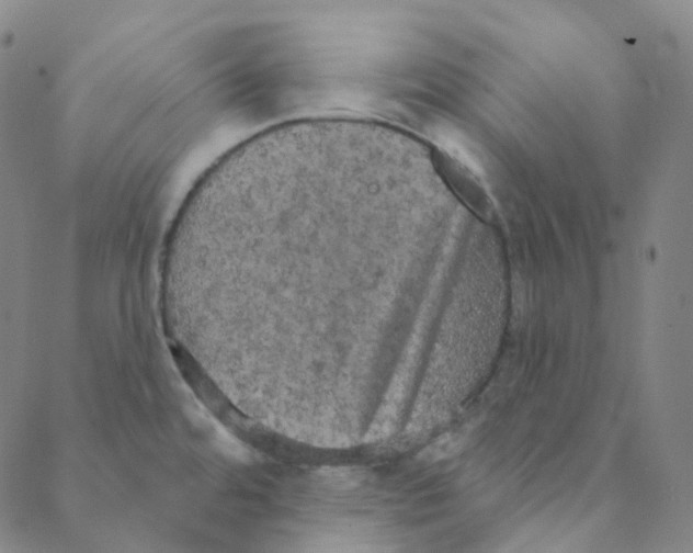 X0000088391480200706191320