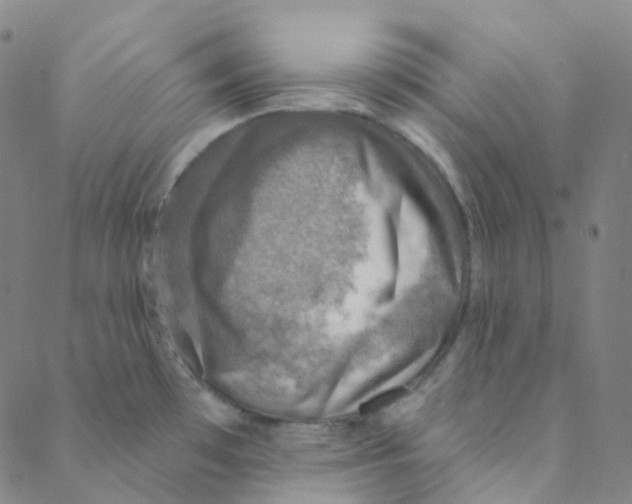 X0000088391481200706191320