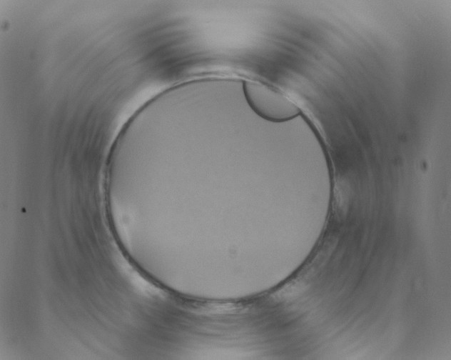 X0000088391482200706191320