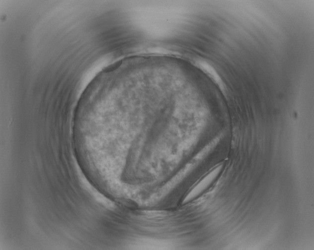 X0000088391483200706191320