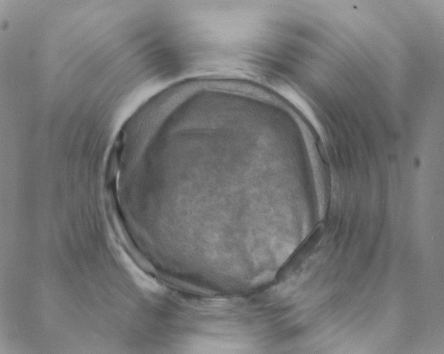 X0000088391485200706191320