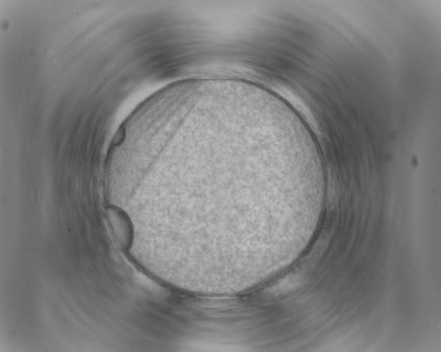 X0000088391486200706191320