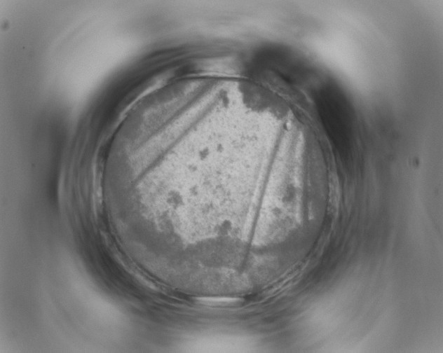 X0000088391487200706191320