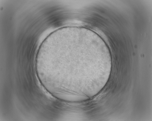 X0000088391488200706191320