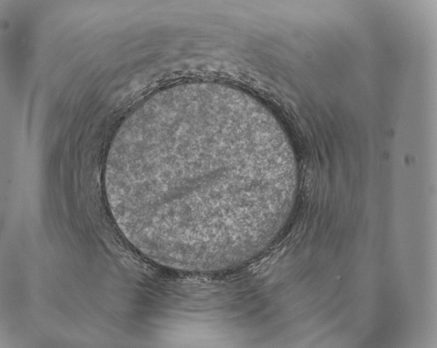 X0000088391489200706191319