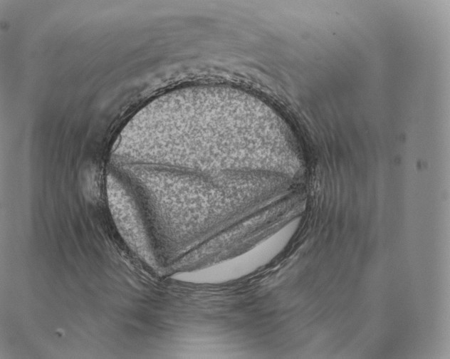 X0000088391490200706191319