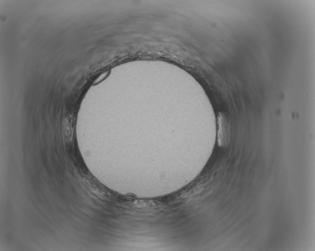 X0000088391491200706191319