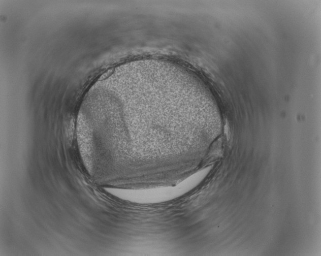 X0000088391492200706191319