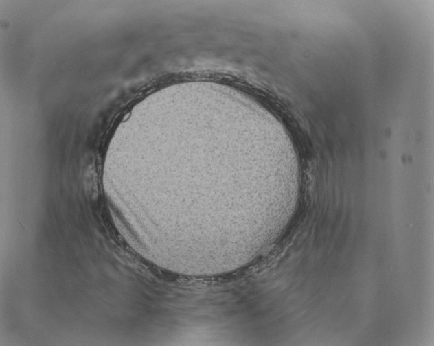 X0000088391493200706191319