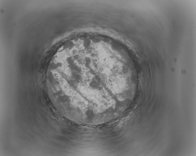 X0000088391494200706191319