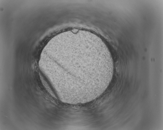 X0000088391495200706191319