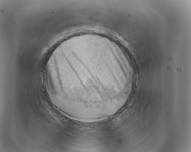 X0000088391496200706191319