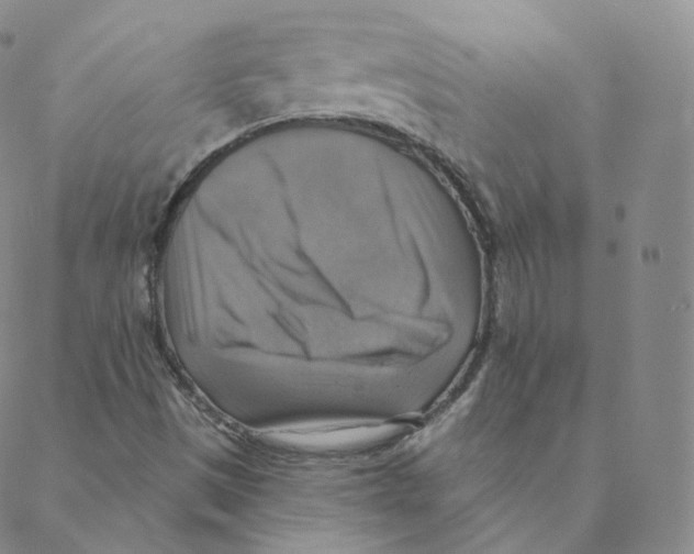 X0000088391497200706191319