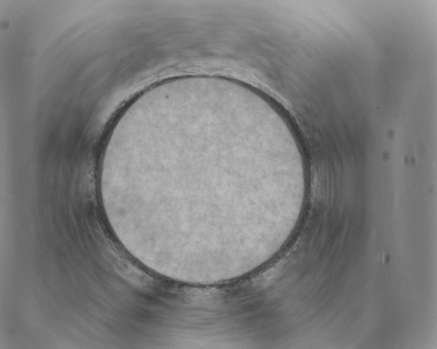 X0000088391498200706191319