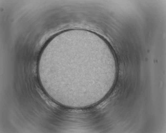 X0000088391499200706191320