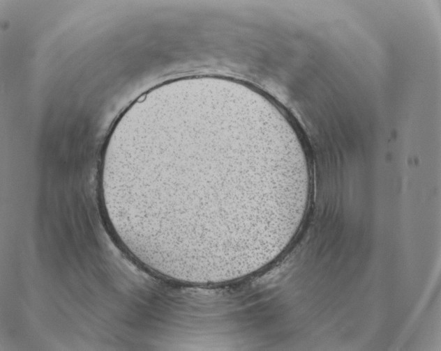 X0000088391500200706191320