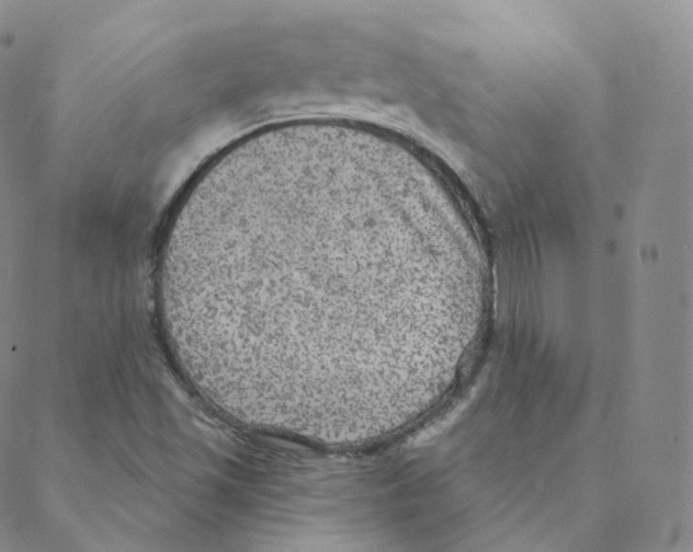 X0000088391501200706191320