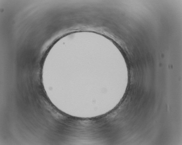 X0000088391502200706191320