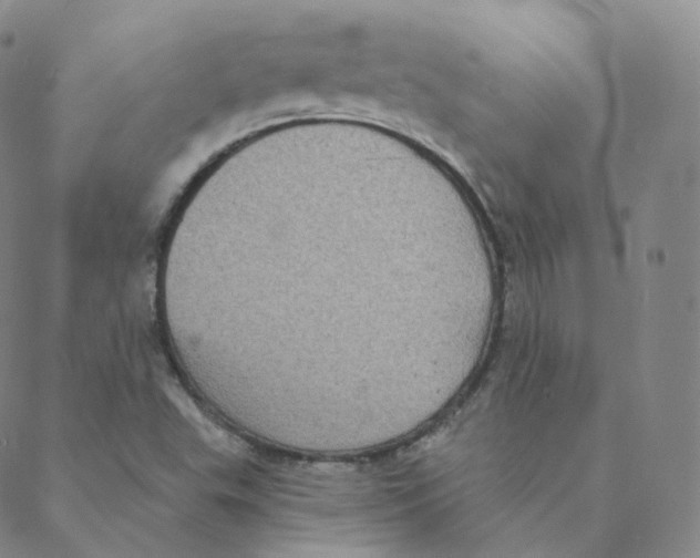 X0000088391503200706191320