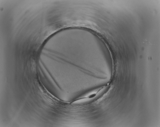 X0000088391505200706191320