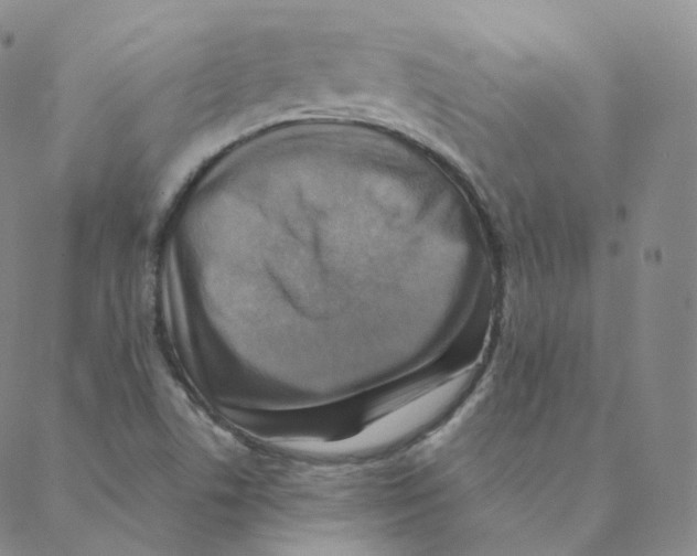 X0000088391506200706191320