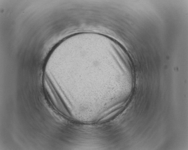 X0000088391507200706191320