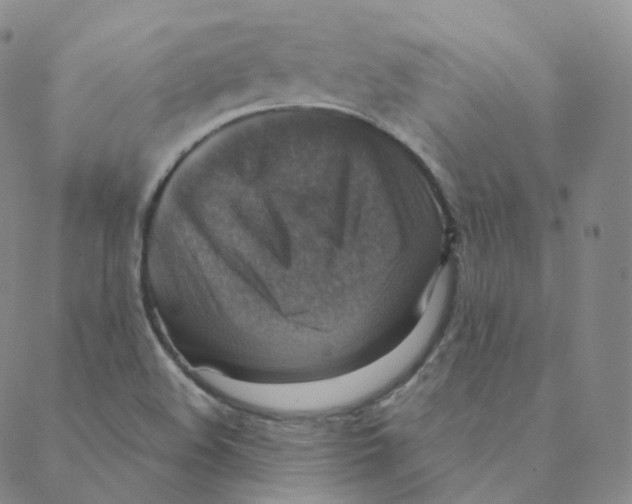 X0000088391508200706191320