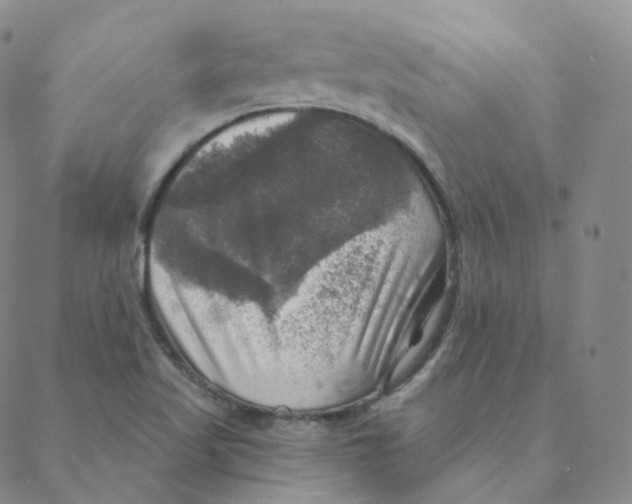 X0000088391509200706191320