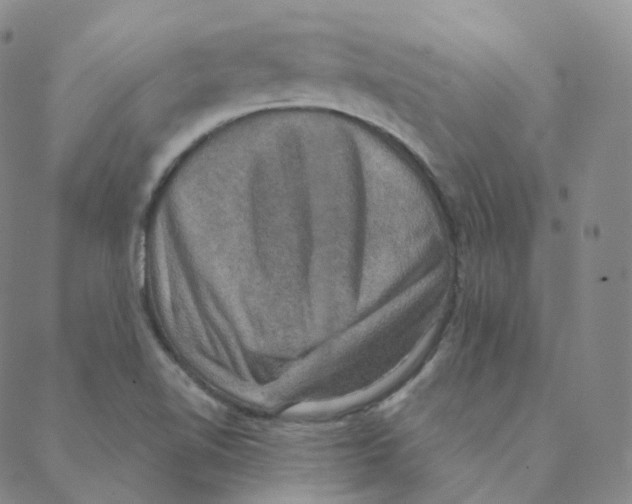 X0000088391510200706191320