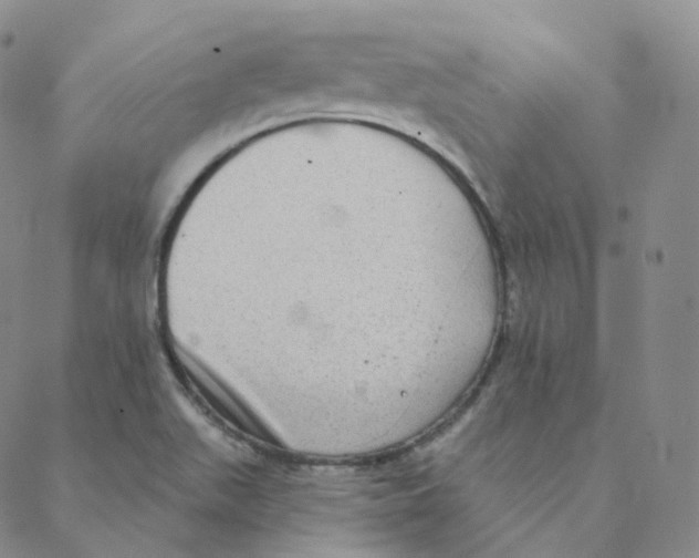 X0000088391511200706191320