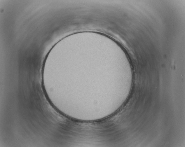 X0000088391512200706191320