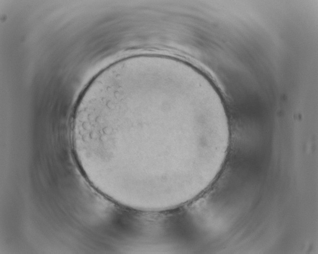 X0000088391514200706191320