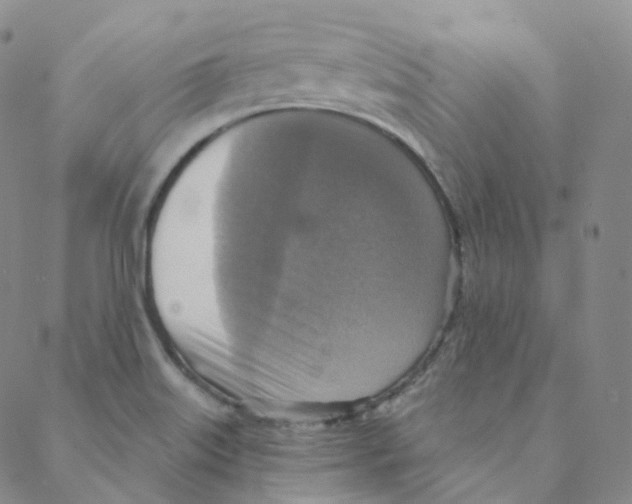 X0000088391515200706191320