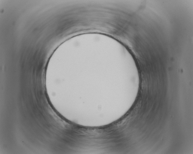 X0000088391516200706191320