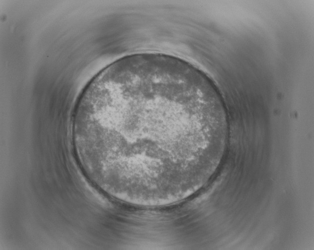 X0000088391517200706191320