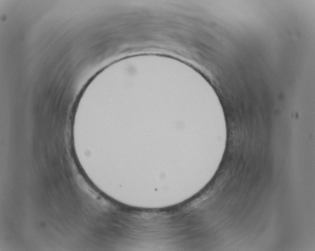 X0000088391518200706191320