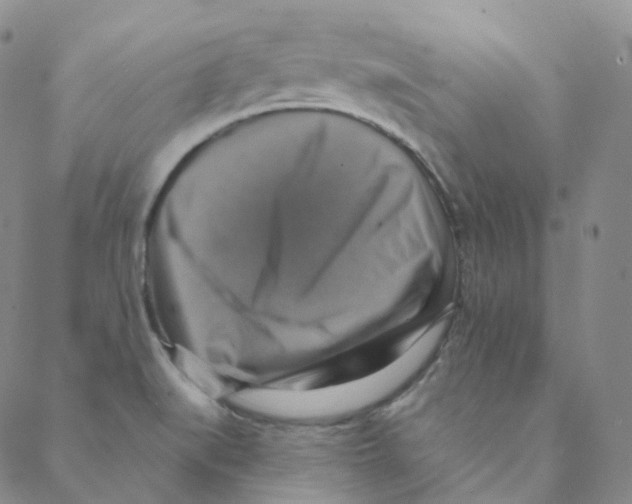 X0000088391519200706191320