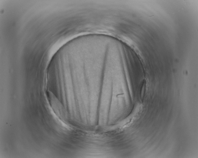 X0000088391520200706191320