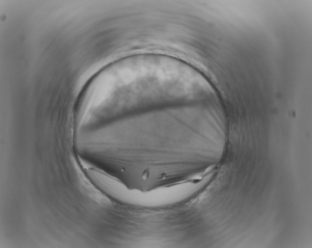 X0000088391522200706191320