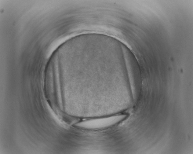 X0000088391523200706191320