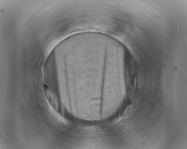 X0000088391524200706191320