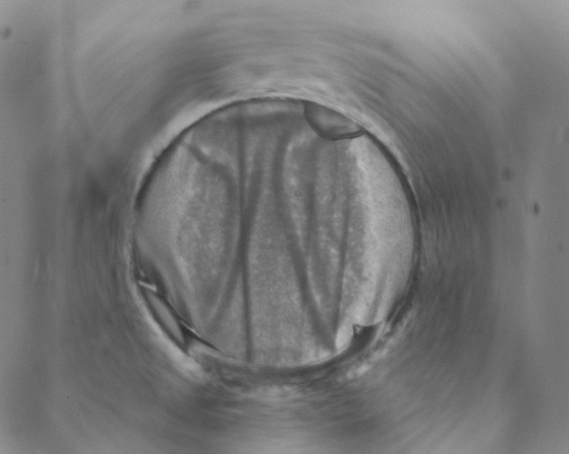 X0000088391525200706191320