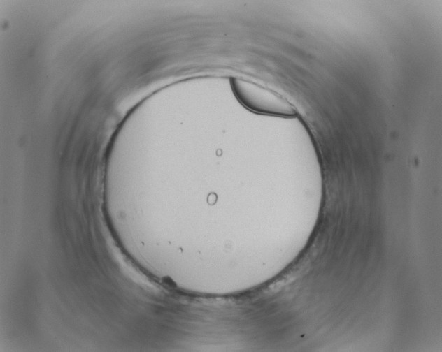 X0000088391526200706191320